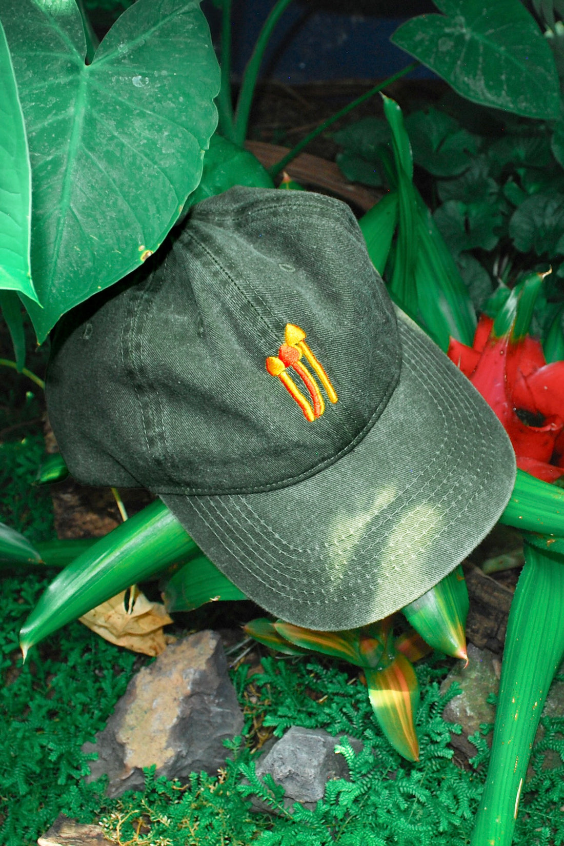 Gorra Hongos