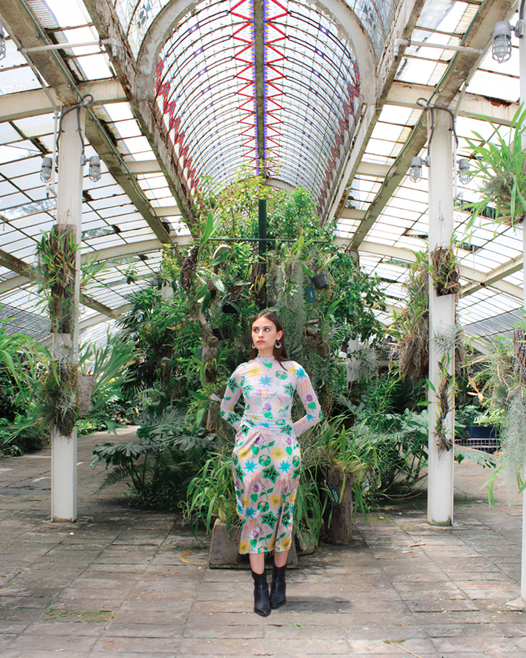 Mesh Top Plantas Maestras