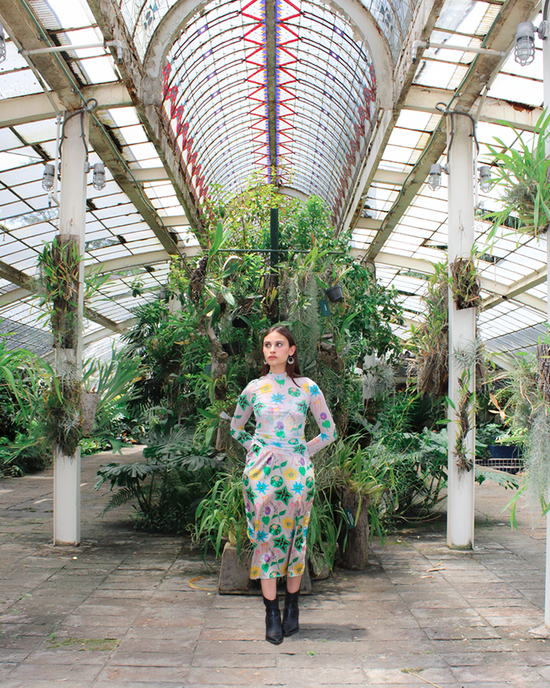 Mesh Top Plantas Maestras