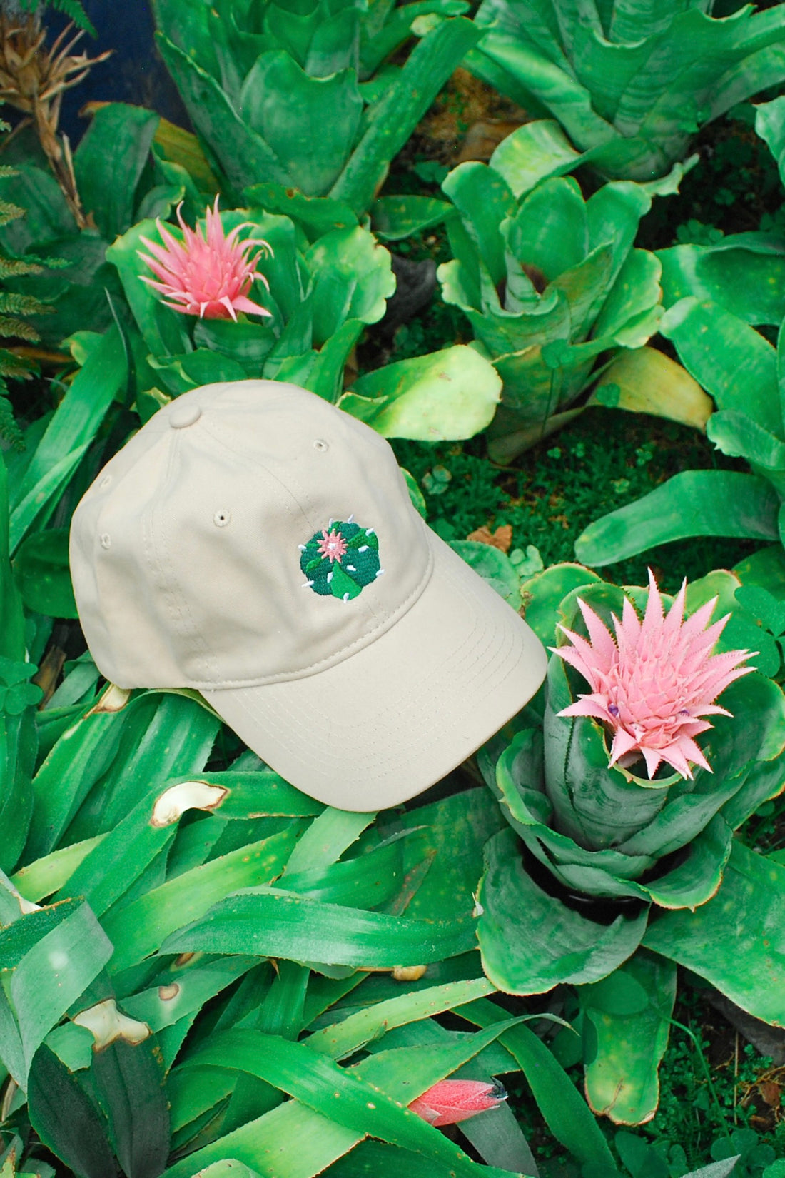 Gorra Peyote