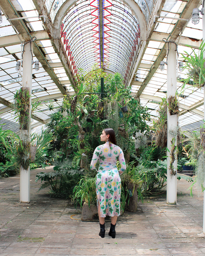 Mesh Top Plantas Maestras