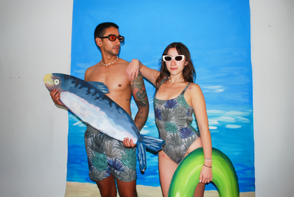 Donna Summers Agaves