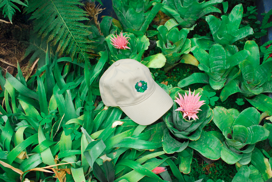Gorra Peyote