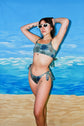 Bikini Venus Agaves