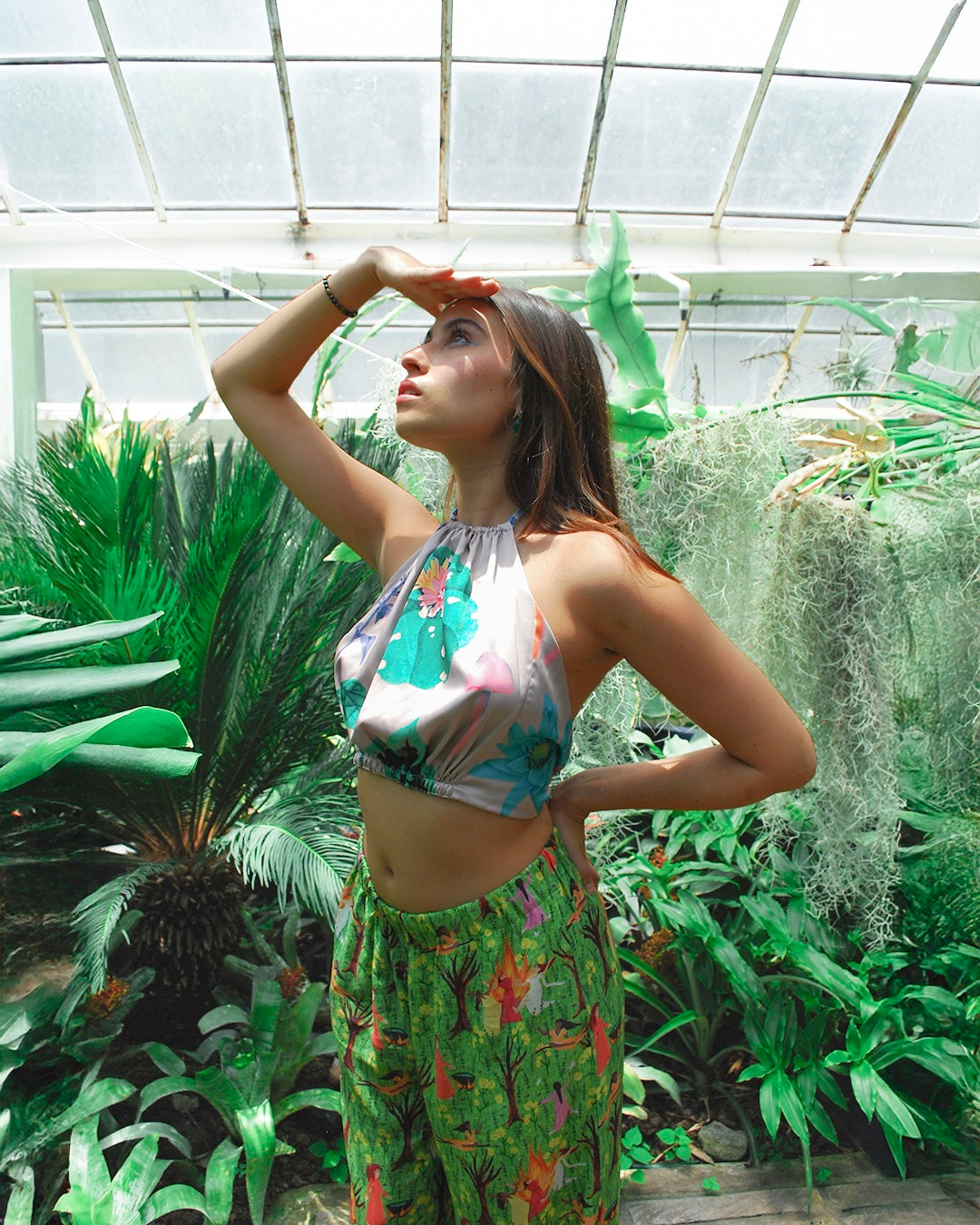 Psicodelia Aquelarre/ Plantas Maestras