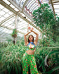 Psicodelia Aquelarre/ Plantas Maestras